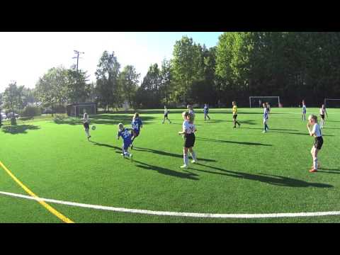 HooGee KungFu Pandat sininen   VJS 2 2 puoliaika TD12 2 divisioona