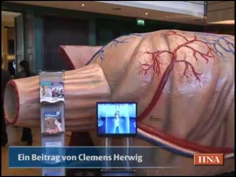 Ob der Junge sein Prostatitis Wenn es betrieben BPH