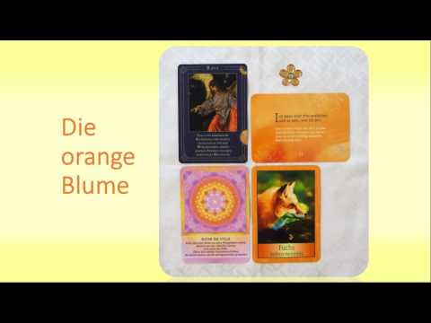 Wochenorakel 16. Jänner bis 22. Jänner 2017