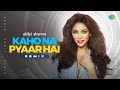 Kaho Na Pyaar Hai Remix DJ Shilpi Sharma Romantic Bollywood Song