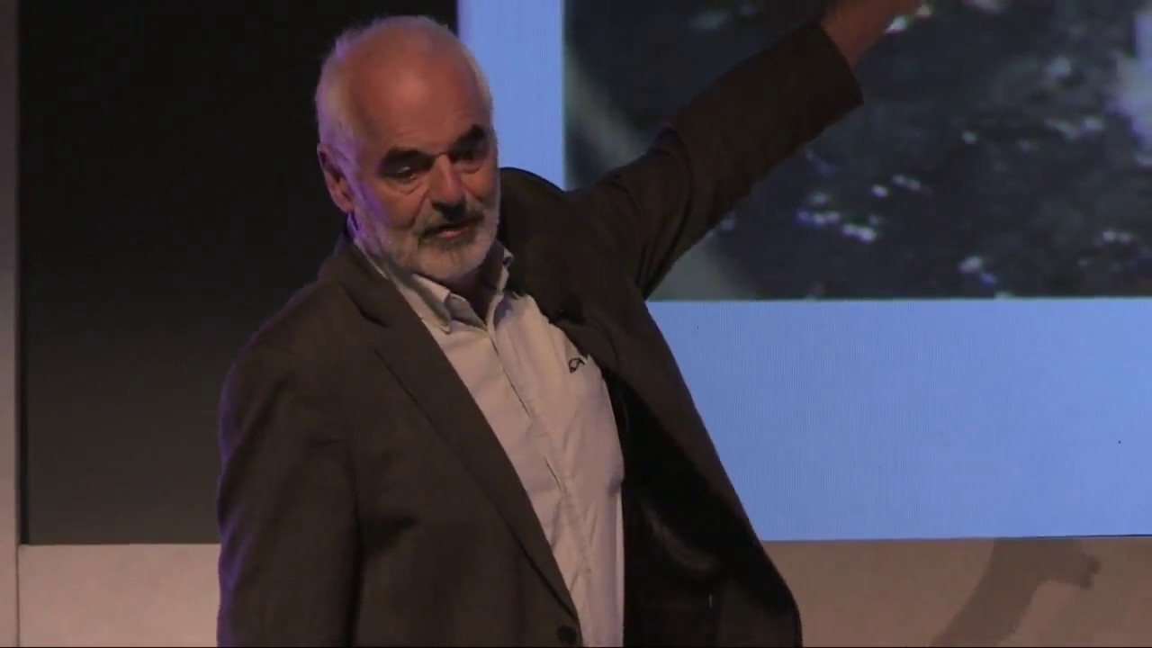 Professor Sir David Spiegelhalter - Public Health England Conference Live Stream