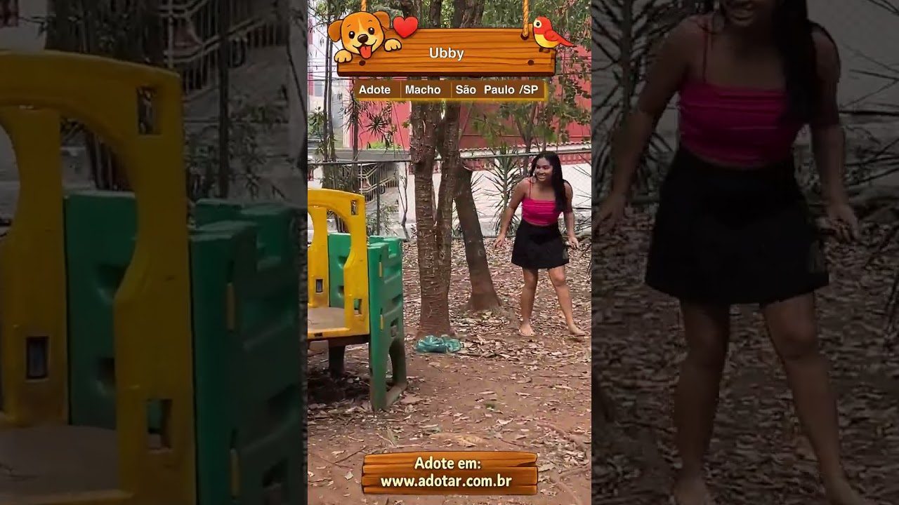 Cachorro raça SRD-ViraLata idade 2 anos nome Ubby
