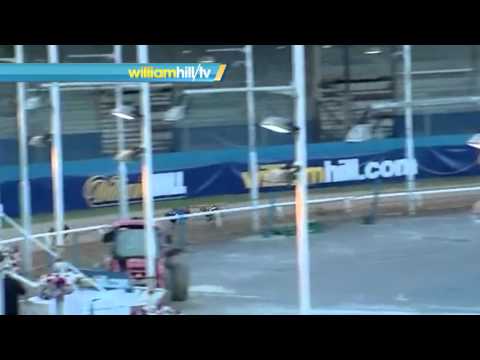 William Hill Greyhound Derby 2015 Round 2 Heats 1-8