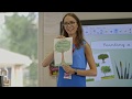 A Day in the Life of a Primary School Teacher A Day in the Life of a Primary School Teacher