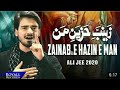 Zainab E Hazin E Man Noha Whatsapp Status 2020 Ali Jee Noha Whatsapp Status 2020