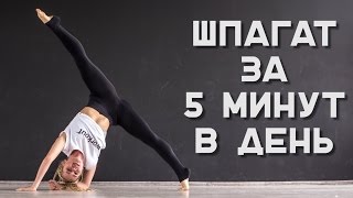 Комплекс упражнений для шпагата за 5 минут в день