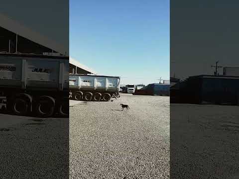 hoje é feriado em Porto Ferreira #paulo