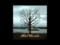 The Rain - Biffy Clyro [HQ] 