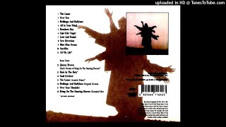 Echo &amp; The Bunnymen-Satellite