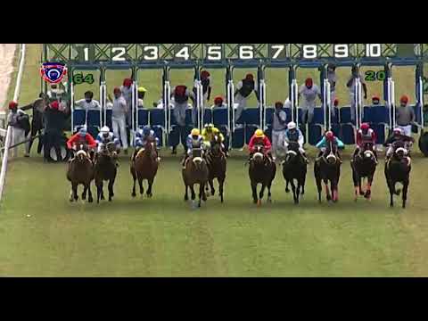 RM6 R4 | Marauding | R.Joorawon