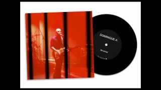 Dominique A - Bel animal (Live) [bonus track]