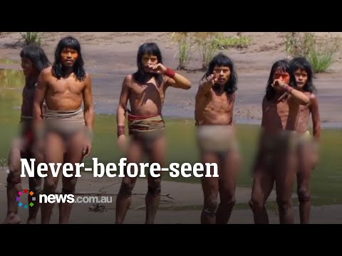 High-definition footage of uncontacted Amazonian tribe