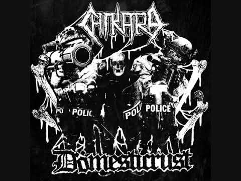 Dömesticrust / Chikara - Split