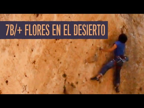 7b/+ Flores en el desierto · Portero de Noche · Cuenca, Spain