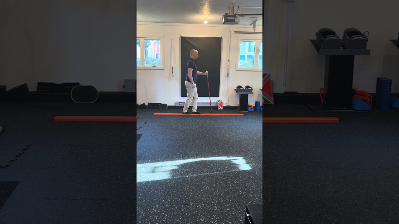 2. Level 2 Balance Beam Forward Walk (Side View)