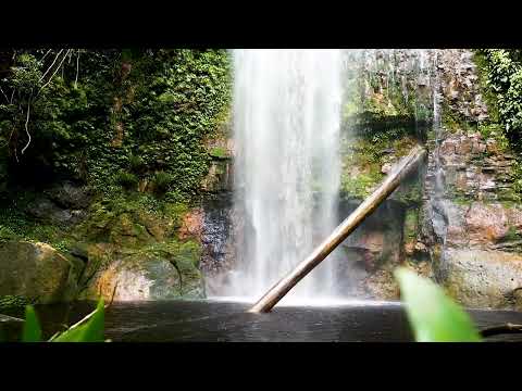 waterfalls sound |• cataractarum sonitus|•জলপ্রপাতের শব্দ|•son des cascades|•صوت الشلالات