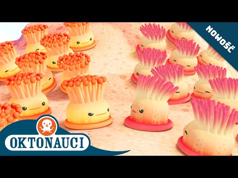 Oktonauci - 😡 i wrogie ukwiały 🪸 | Cały odcinek 23 | Seria 1