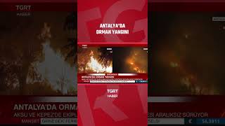 Antalya'da Orman Yangını! #shorts