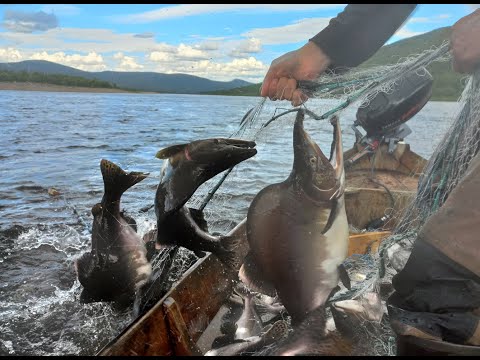 Kulkutus- eli ajoverkon nosto