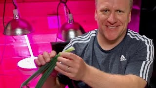 I grew hydroponic onions in space buckets.