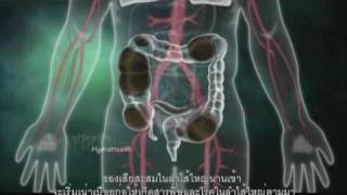 Why Detox? ทำไมต้องล้างพิษ?  HydroHealth Thailand  02-250 7800