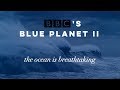 Somewhere Beyond The Sea Bbc S Blue Planet II Edit
