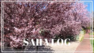 vlog 19. it's spring !