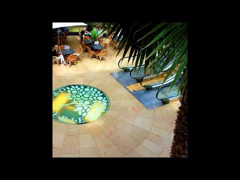 猫 シ Corp. : 家族. 劳动. 쇼핑.