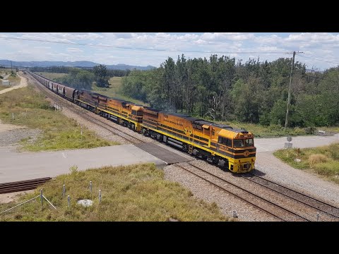 A hot day in the Hunter Valley (10/12/2020)