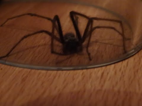 lovely place to be ;-), Kneshecke, 36160 Dipperz - Friesenhausen, 50.516541100658195, 9.815127