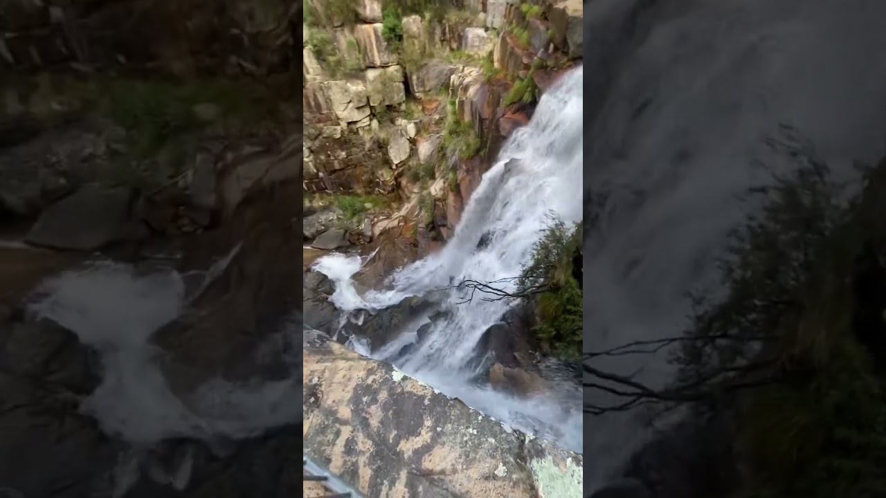 YouTube Short thumbnail