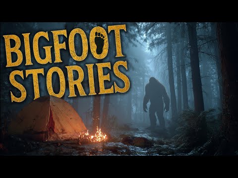 5 Terrifying BIGFOOT Stories That Will Give You Chills | Sasquatch Encounters, Deep Woods