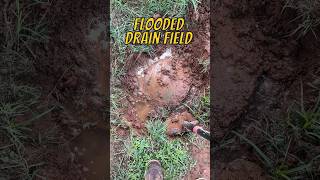 Flooded drainfield #shorts