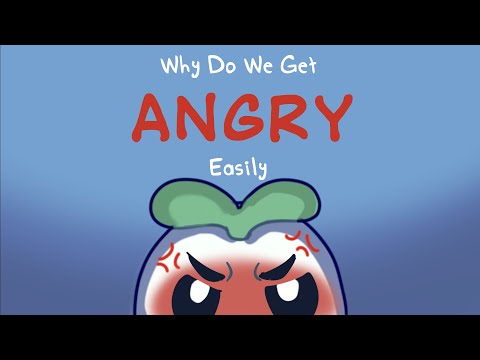 Why Do You Get Angry Easily?