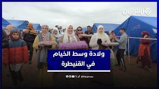 وسط ظروف استثنائية.. عمالة القنيطرة تحتفل بازدياد مولودة في خيام الإقليم thumbnail