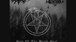 Music video thumbnail preview for Aske -  Goat Spawn by Aske