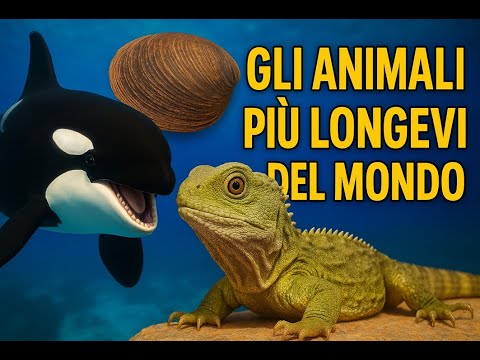 Gli Animali Più Longevi del Mondo: Il Primo È Quasi Immortale!