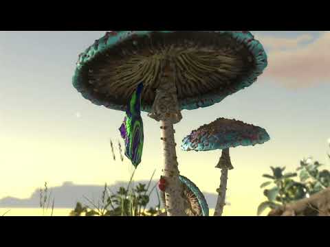 Bliss & Ritmo - One With The Universe