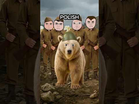 The Bear That Fought in WW2...
