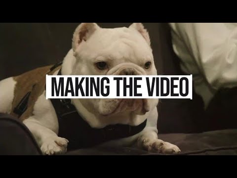 The Making of "Shimmy Down My Chimney" By Bunnie D. | Bunnie Xo