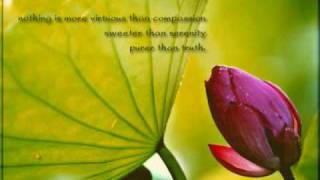 ATB- My Saving Grace