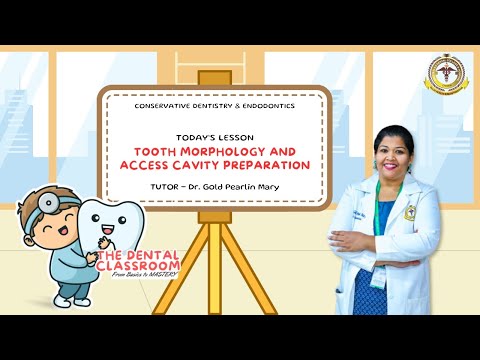 Conservative Dentistry and Endodontics