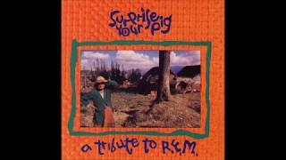 The Mr. T Experience - Can&#39;t Get There from Here