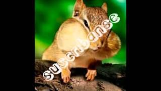 Traicioneros envidiosos 2 caras arllillitas(c kan)