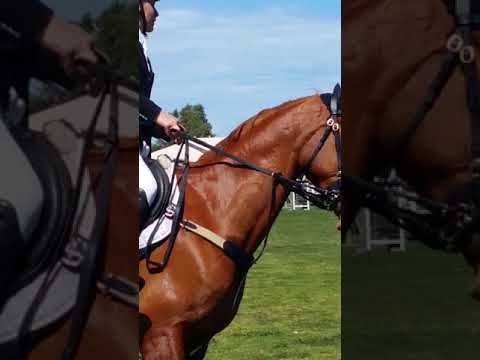 K P Irish One 130 Pr Elliot