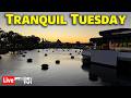 Live Tranquil Tuesday At Epcot 4 28 26 Walt Disney World Live Stream
