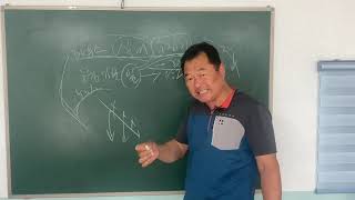 체리 하우스재배가 실패한 원인과 대책