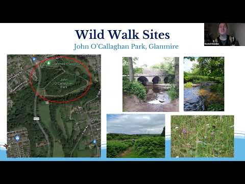 Urban Green Spaces - Wildwalks