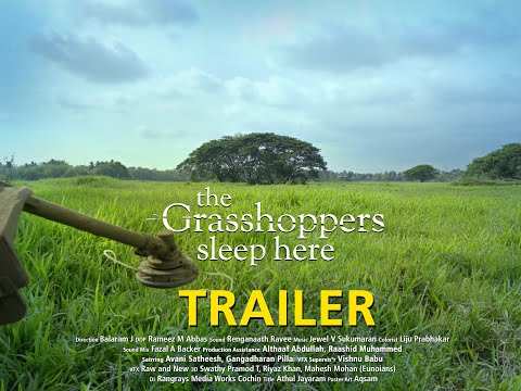 TRAILER | The Grasshoppers Sleep Here
