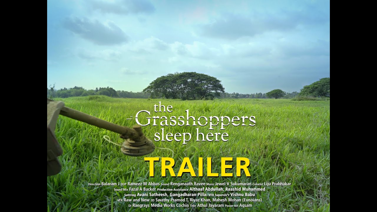 TRAILER | The Grasshoppers Sleep Here